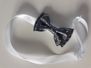 Mucha mała kropki MSZK