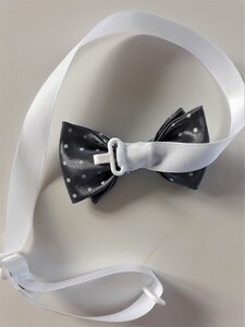 Mucha mała kropki MSZK